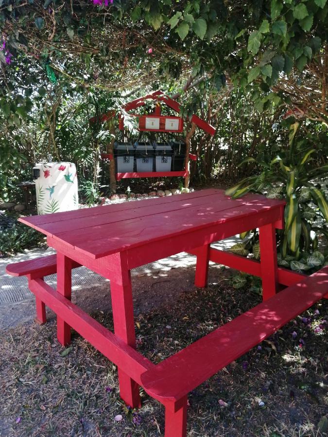 Pension Y Cabinas Colibri B&B Costa Rica Monteverde Ngoại thất bức ảnh