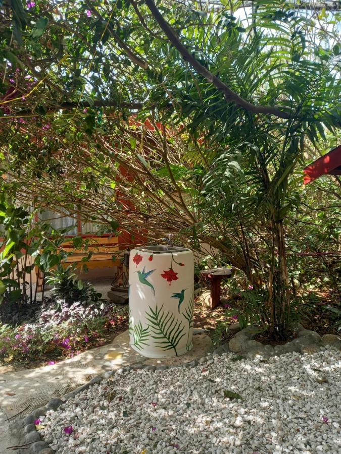Pension Y Cabinas Colibri B&B Costa Rica Monteverde Ngoại thất bức ảnh