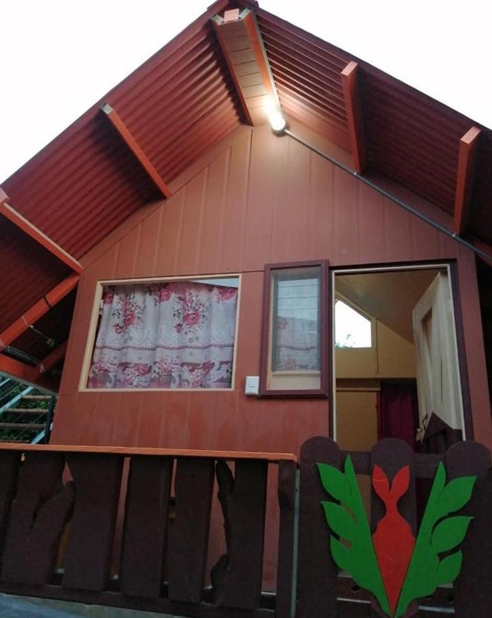 Pension Y Cabinas Colibri B&B Costa Rica Monteverde Ngoại thất bức ảnh