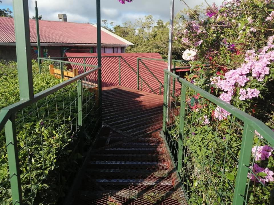 Pension Y Cabinas Colibri B&B Costa Rica Monteverde Ngoại thất bức ảnh