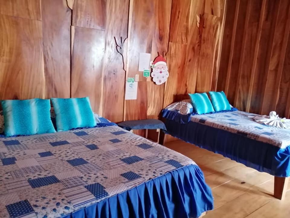 Pension Y Cabinas Colibri B&B Costa Rica Monteverde Ngoại thất bức ảnh